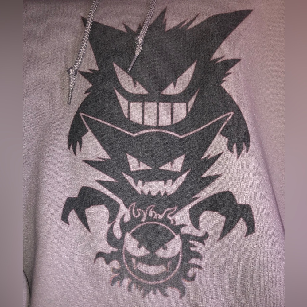 Pokémon Evolution Hoodie (Adult Med.)
